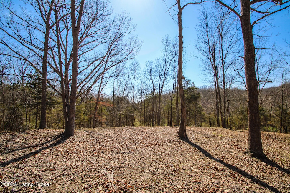 2011 W Hwy 524 unit TRACT 2, La Grange, KY 40031 - photo 1