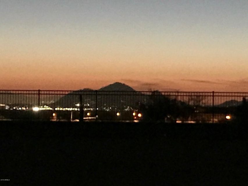 Lot 49 View