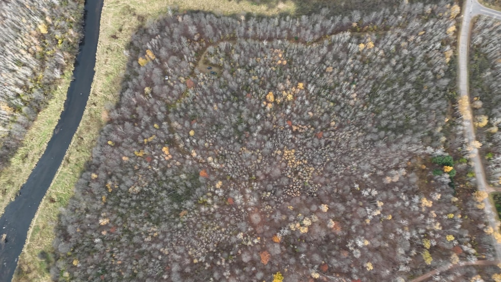 20 Acres, Gleason, WI 54435 - photo 1