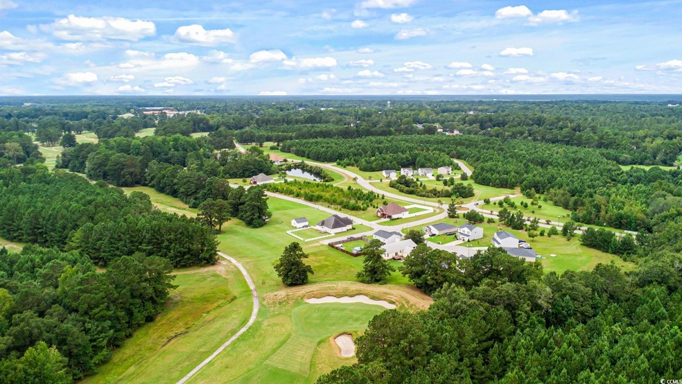 TBD Pembroke Blvd unit 216 +/- Lots - Persi, Johnsonville, SC 29555 - photo 1