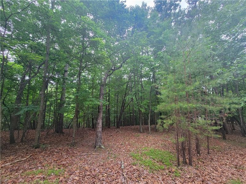 1274 Goldfinch Point, Big Canoe, GA 30143 - photo 1