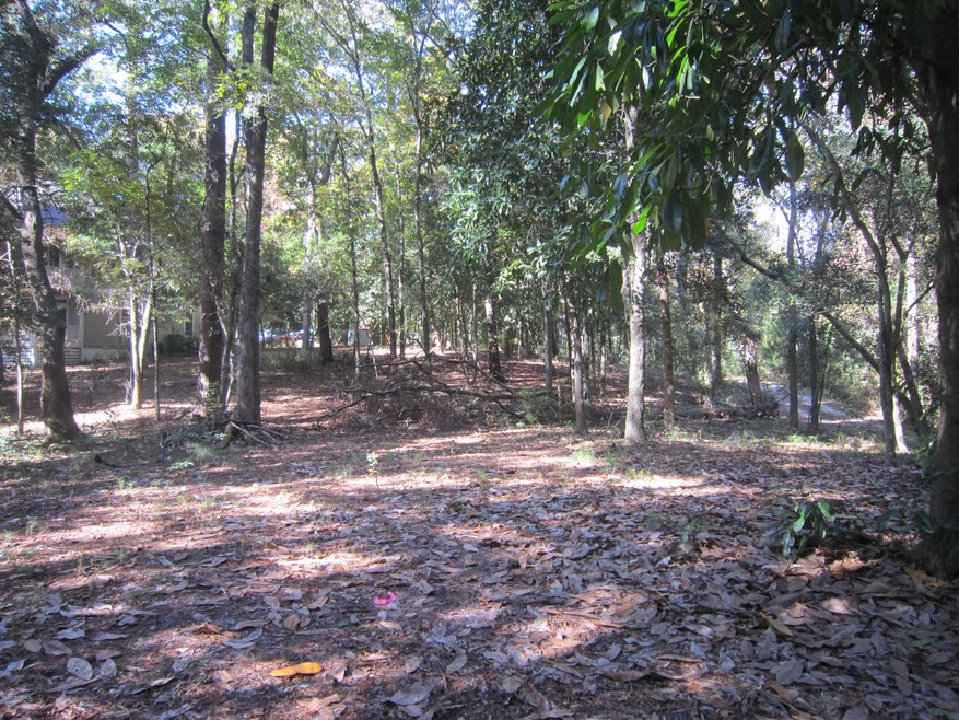 3505 Whimsy Way, Wilmington, NC 28411 - photo 1