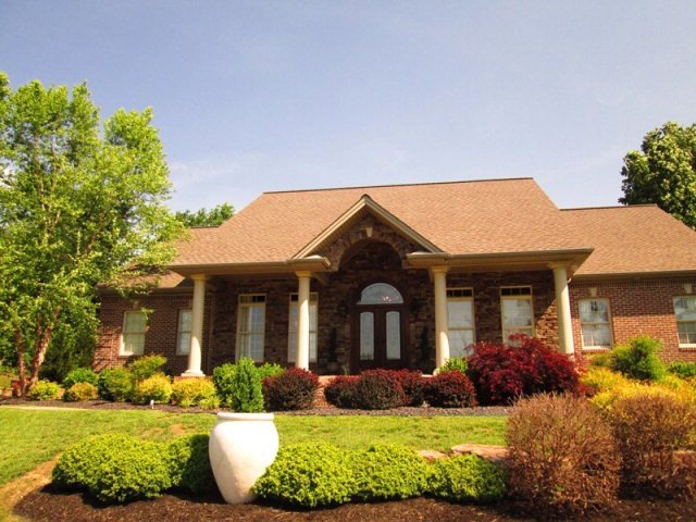 Main View
