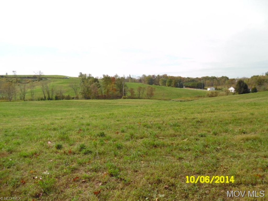 View from the back of the lot