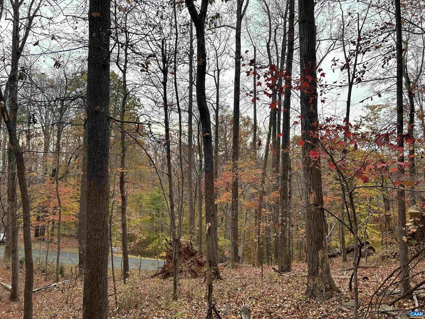 355 Stone Chimneys Rd unit 26, Nellysford, VA 22958 - photo 1