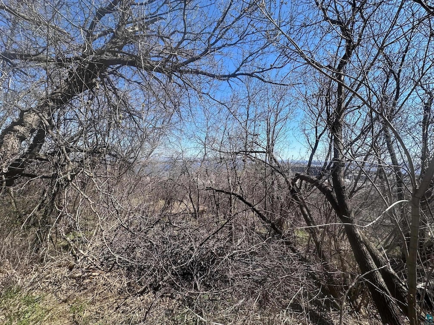 View of local wilderness