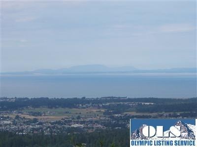 9999 Himlen Rd, Sequim, WA 98382 - photo 1