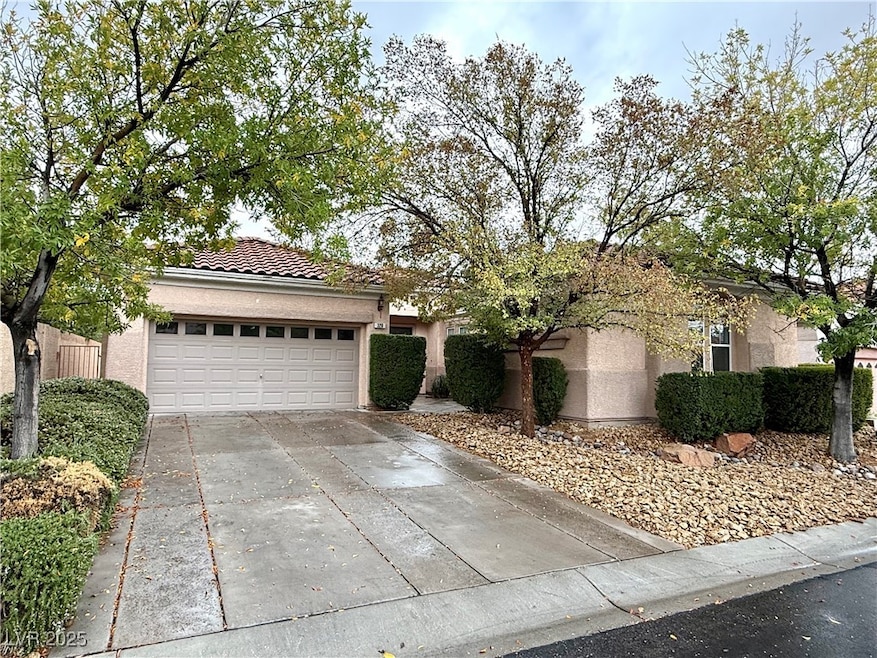 320 Corsicana St, Las Vegas, NV 89138 - photo 1