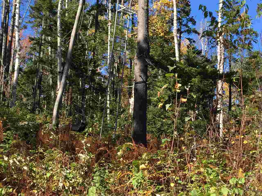 0 Brooks Rd, Northfield, VT 05663 - photo 1