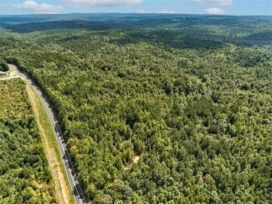 Tk 3 Old Ridgeway Rd, Bremen, GA 30110 - photo 1