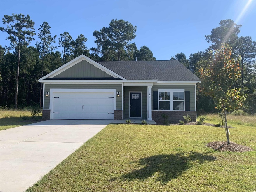 Craftsman-style house featuring a front lawn and a