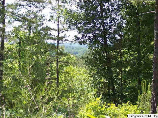Great views from the top of this tract.