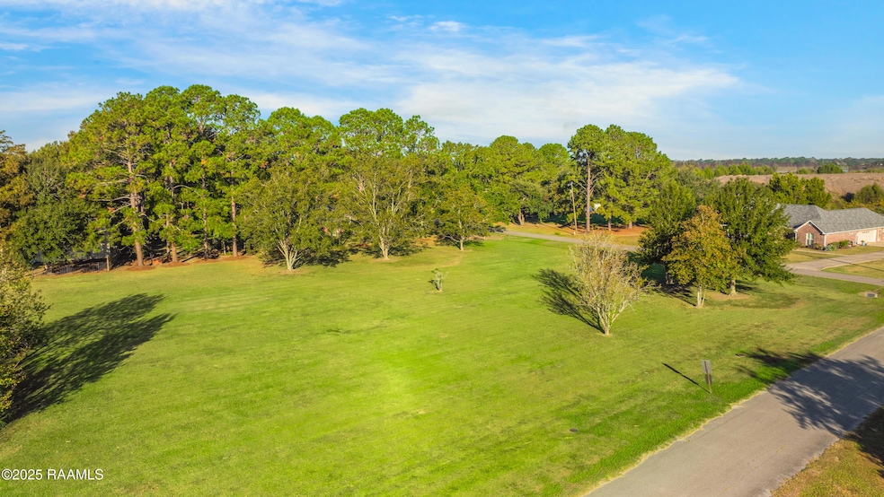 0 Ryan Ave, New Iberia, LA 70563 - photo 1