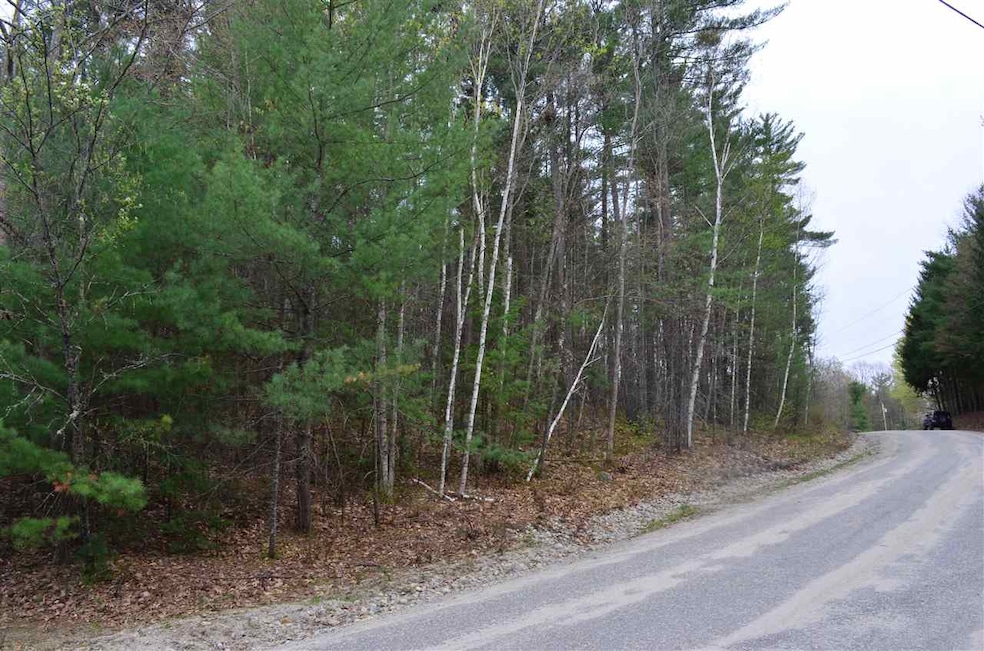 0 Pine Meadows Rd unit 4631525, Bennington, NH 03442 - photo 1