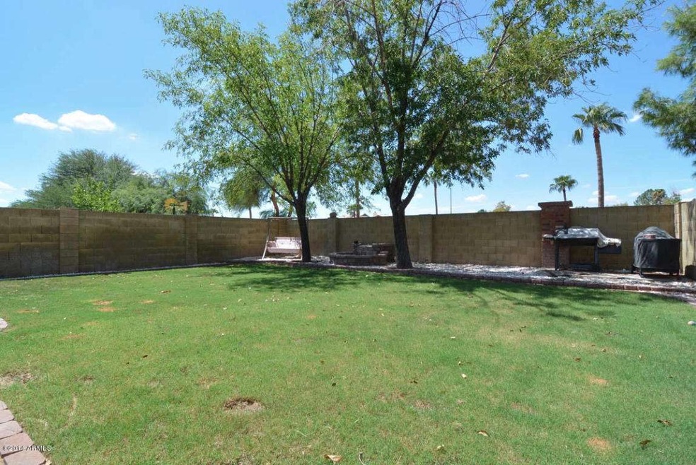 Backyard3