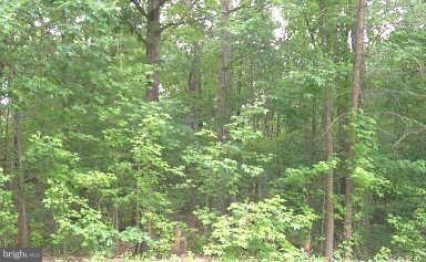 0 Indian Trace Trail unit 1002432084, Unionville, VA 22567 - photo 1