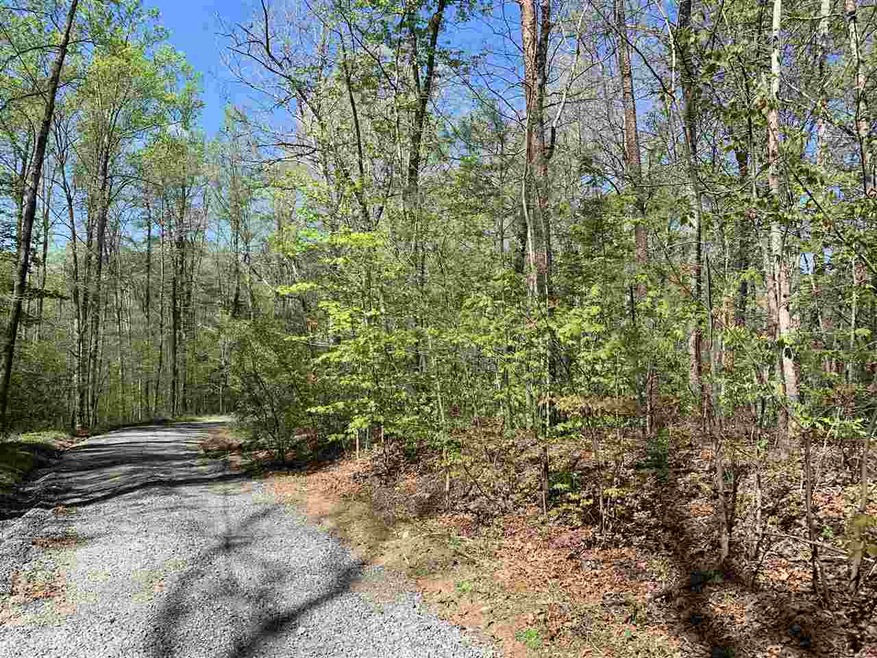 TBD Flint Lake Rd, Stanardsville, VA 22973 - photo 1
