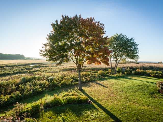 View. Early morning light outside