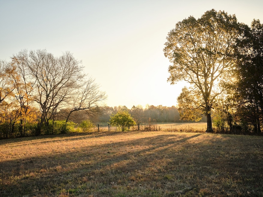 7725 Caney Fork Rd, Fairview, TN 37062 - photo 1