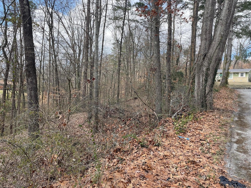 0 Mark Twain Cir unit 1511690, Chattanooga, TN 37406 - photo 1