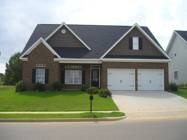 Main View
