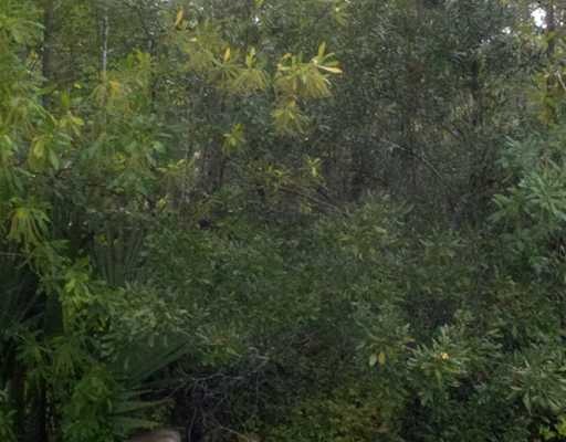 0 Low Tide unit 3263792, Escatawpa, MS 39562 - photo 1