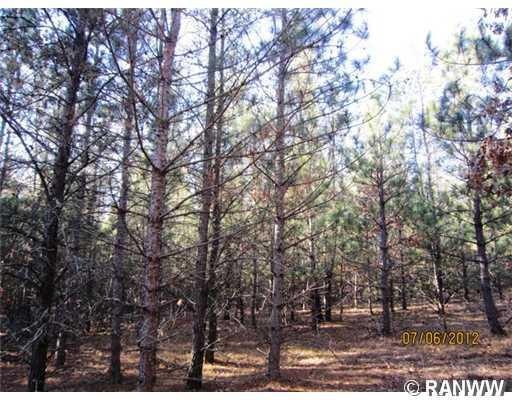 0 Hayden Lake Rd unit 859470, Danbury, WI 54830 - photo 1