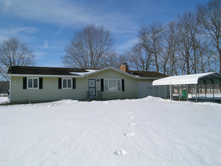Maple Road 024