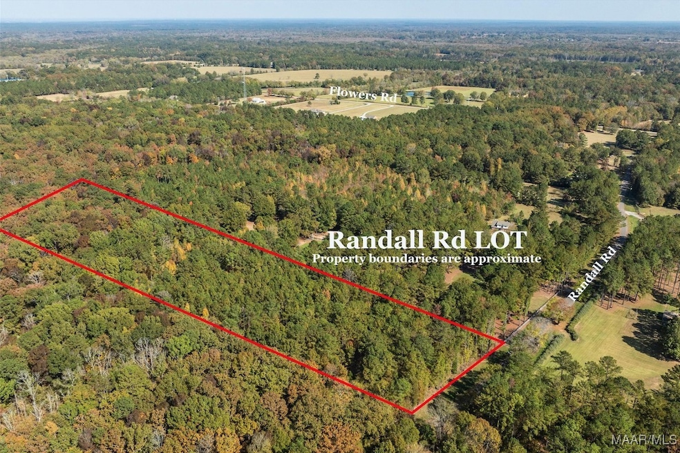 000 Randall Rd, Cecil, AL 36013 - photo 1