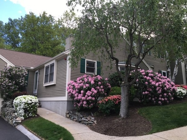 501 Lexington St unit 22, Waltham, MA 02452 - photo 1