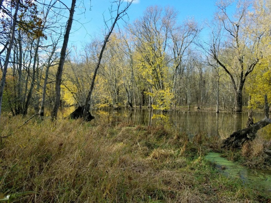 Lot 6 river fr