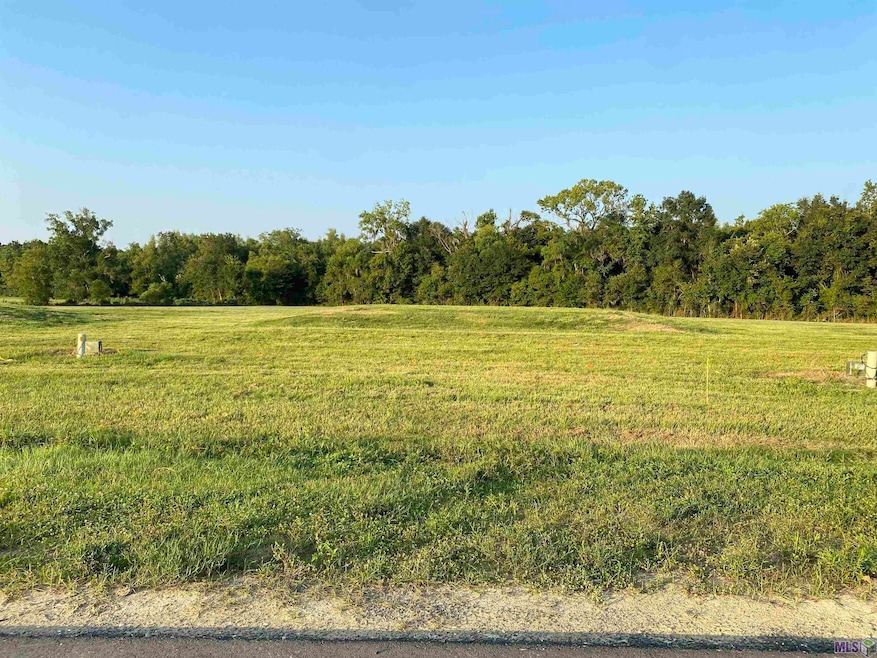 Lot 29 Buddy Gore Rd, Gonzales, LA 70737 - photo 1