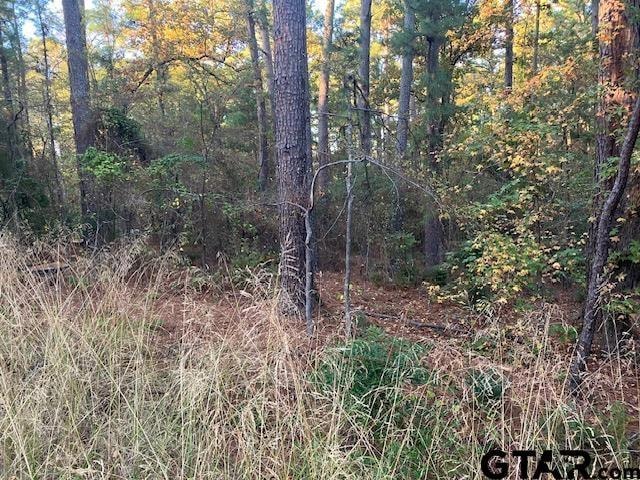 1657 Pineview Ln, Hideaway, TX 75771 - photo 1