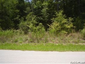 beautiful lot on paved road