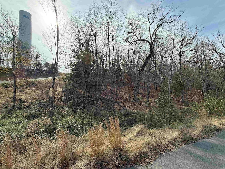 Tract 94 95 Vernon Ct, Austin, AR 72007 - photo 1