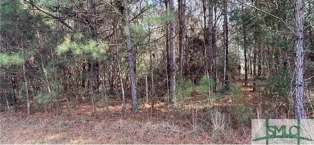 1871 Courthouse Rd, Guyton, GA 31312 - photo 1