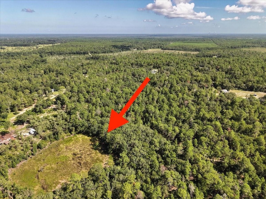 229 Arkansas St, Satsuma, FL 32189 - photo 1