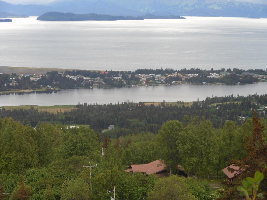 View from East Hill Rd above lot