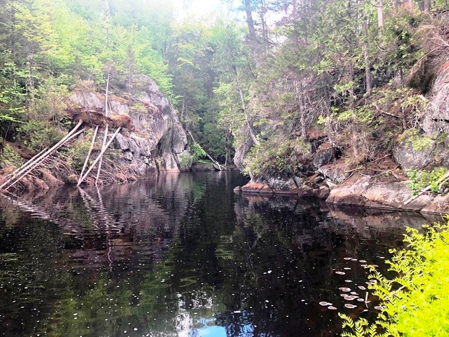 IMG-6624