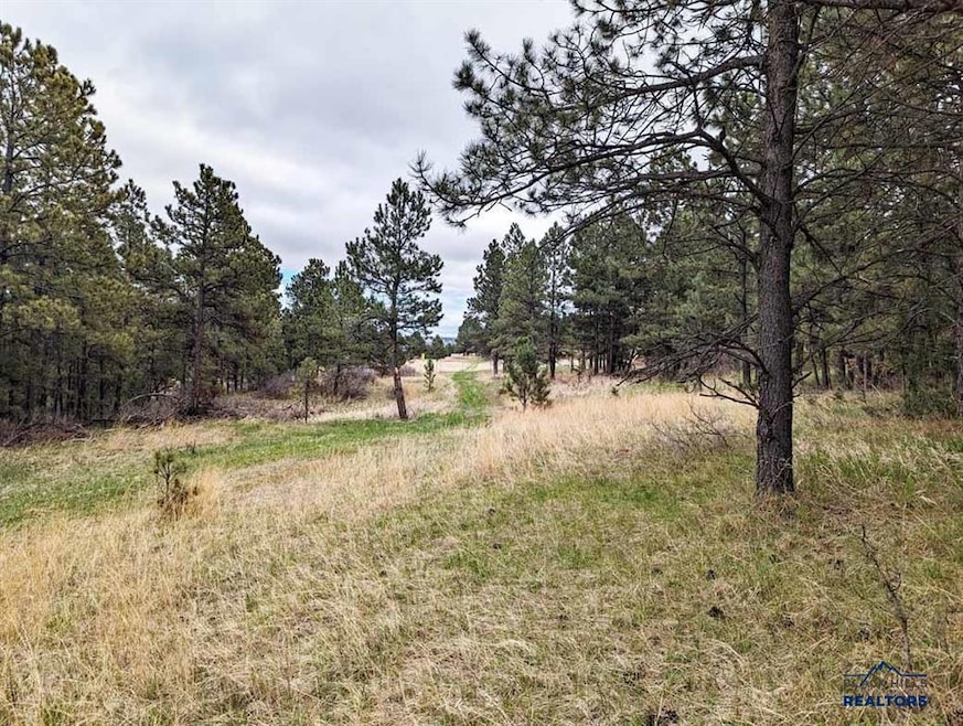 TBD Lot 5 Argyle Rd, Hot Springs, SD 57747 - photo 1