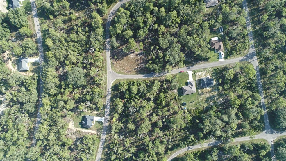 .29 acre lot