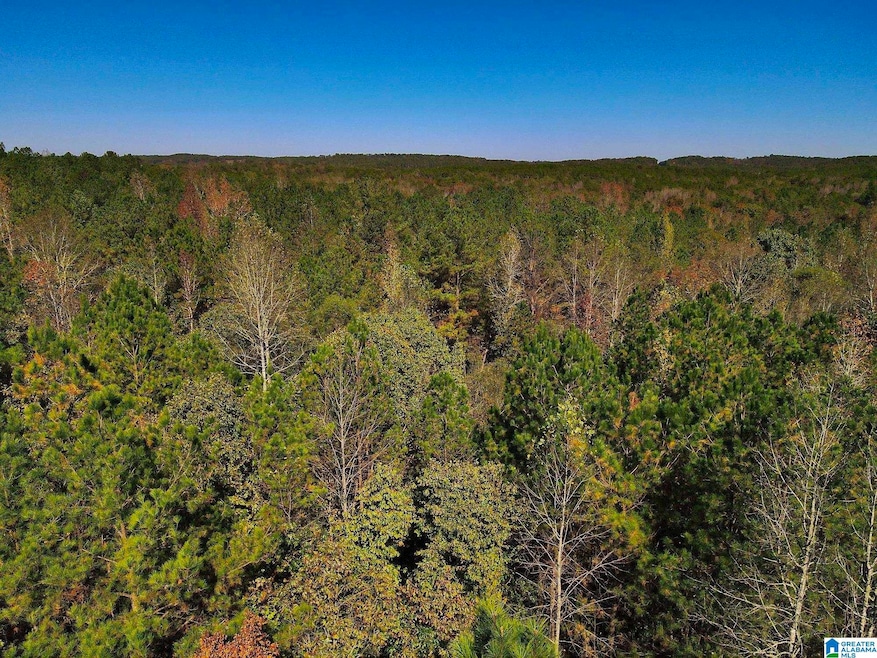 001 County Road 997 unit a, Clanton, AL 35046 - photo 1