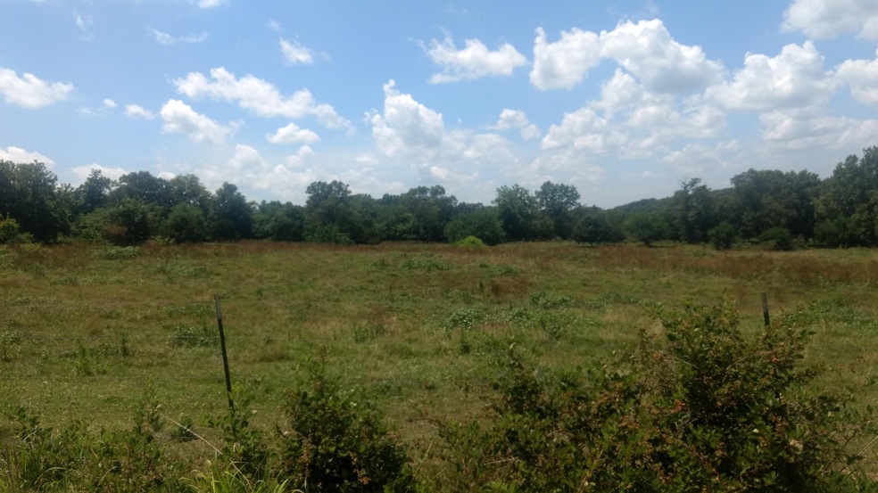 Tract 3 Stonehill Ct, Nixa, MO 65714 - photo 1