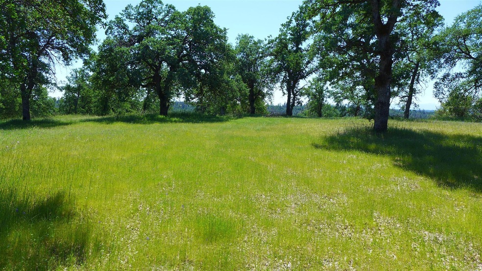 4573 Peaceful Ridge Rd, Redding, CA 96001 - photo 1