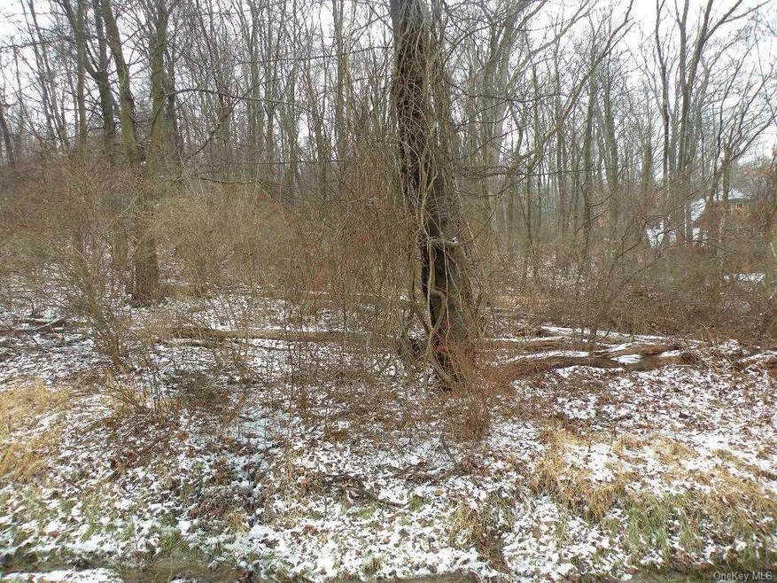 84 Sheldon Rd, Wingdale, NY 12594 - photo 1