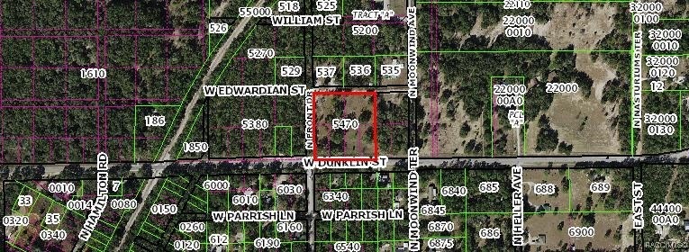 7358 W Edwardian Dunnellon 34433
