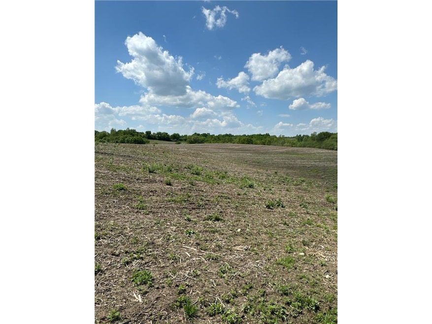 0 Wisconsin 87, Cushing, WI 54006 - photo 1