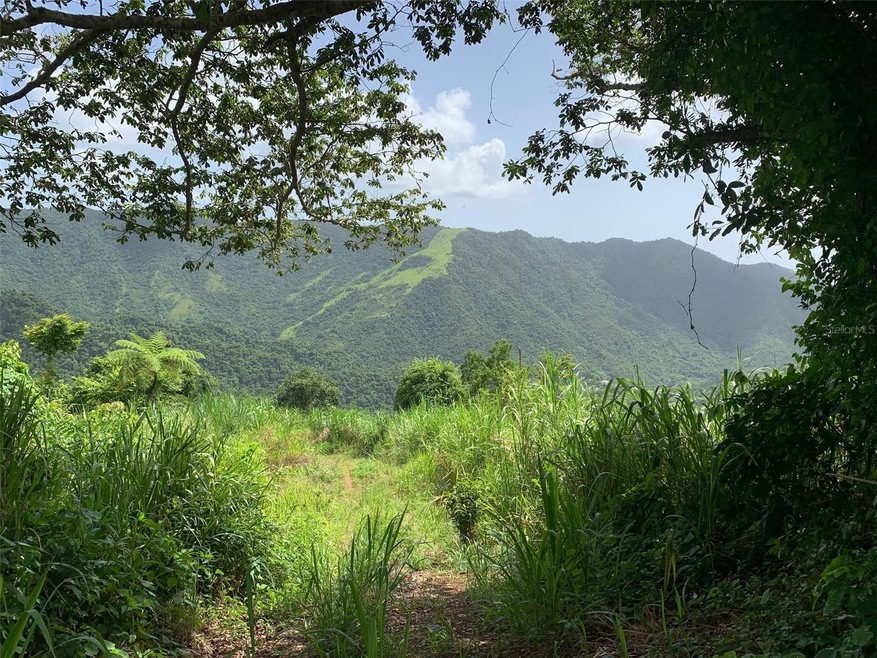 0 Jajome Alto Casilla Del Gobernador unit MFRPR9104605, Cayey, PR 00736 - photo 1