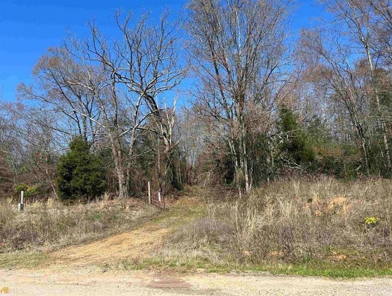 0 Christmas Tree Rd unit 7012363, Homer, GA 30547 - photo 1