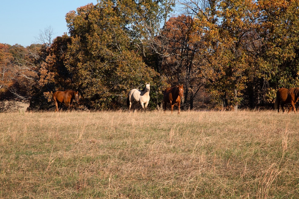 7252 Northwest Hwy, Fairview, TN 37062 - photo 1